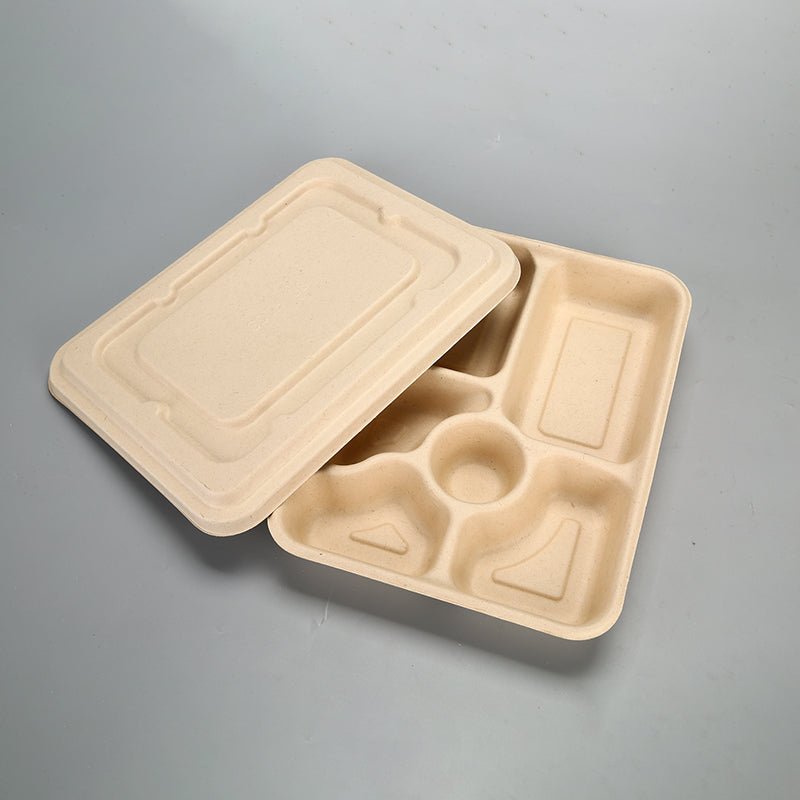 https://www.cokmaster.com/cdn/shop/products/disposable-environmentally-friendly-degradable-four-grid-pulp-lunch-boxes-five-grid-fast-food-sugarcane-pulp-lunch-box-takeaway-straw-to-go-box-630176.jpg?v=1677272104&width=1445