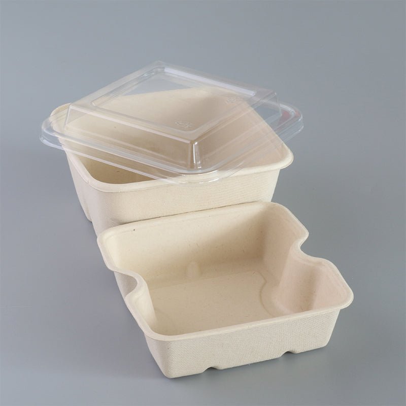 Disposable pulp food container double-layer environmentally friendly degradable lunch box Square take out take away light food fast food lunch box - CokMaster