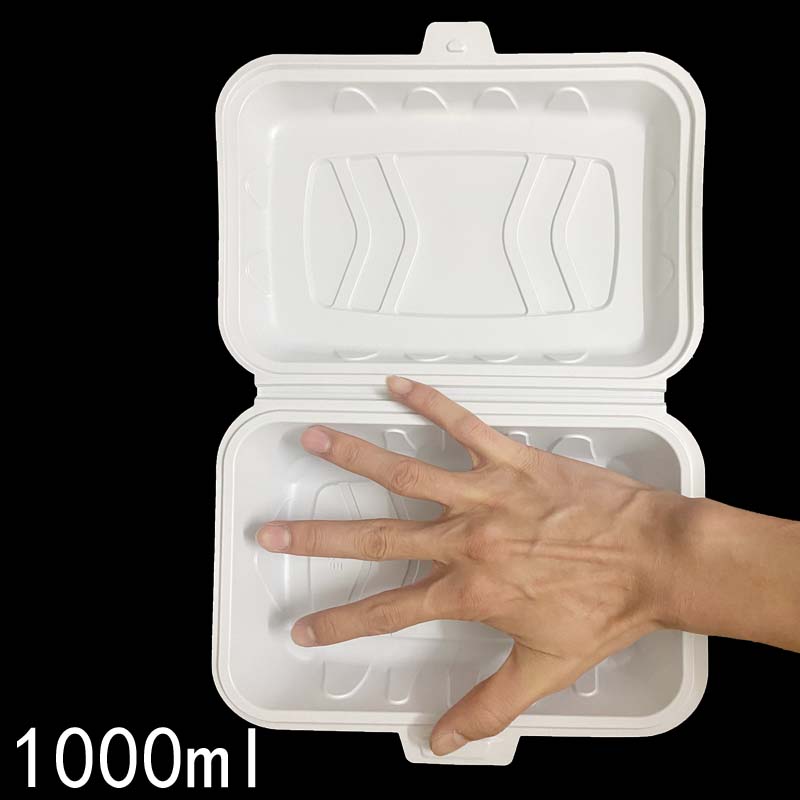 Disposable white lunch box single grid one-piece cover large roast meat barbecue Oyster Box fried rice fast food takeaway packing box - CokMaster